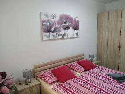 Chopok Juh Apartman Tatiana, Trangoska Deménvölgy Kültér fotó